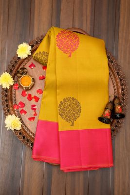 Pistachio Green Zari woven Kanchipuram Silk Saree-PJ2119